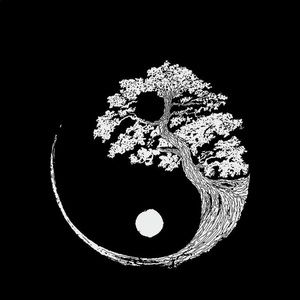 Meet your Posher, Carter